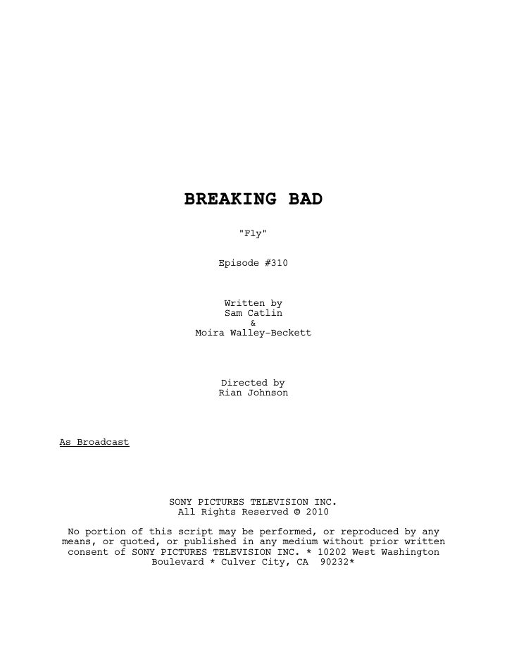 Breaking Bad: 310: Fly screenplay first page