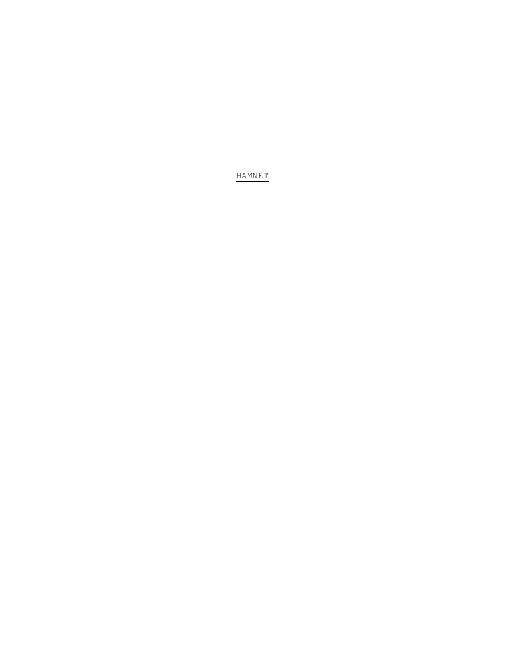 Hamnet screenplay first page
